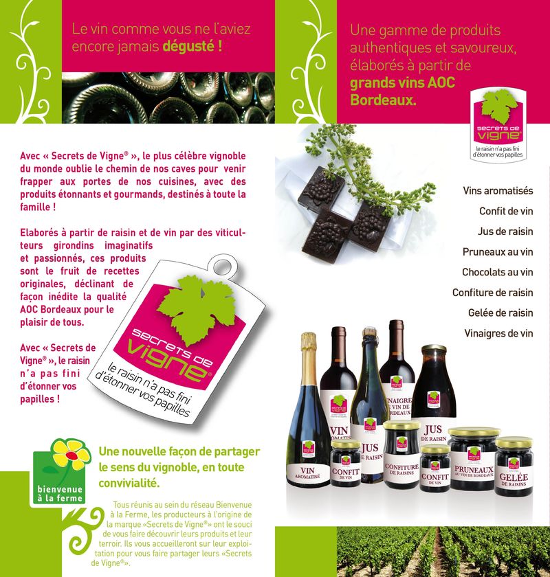 BROCHURE 10x21 SECRETS DE VIGNEv4p2[1]